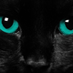 Illustration for article titled The Ultimate Guide to Evil Cats in Science Fiction and Fantasy